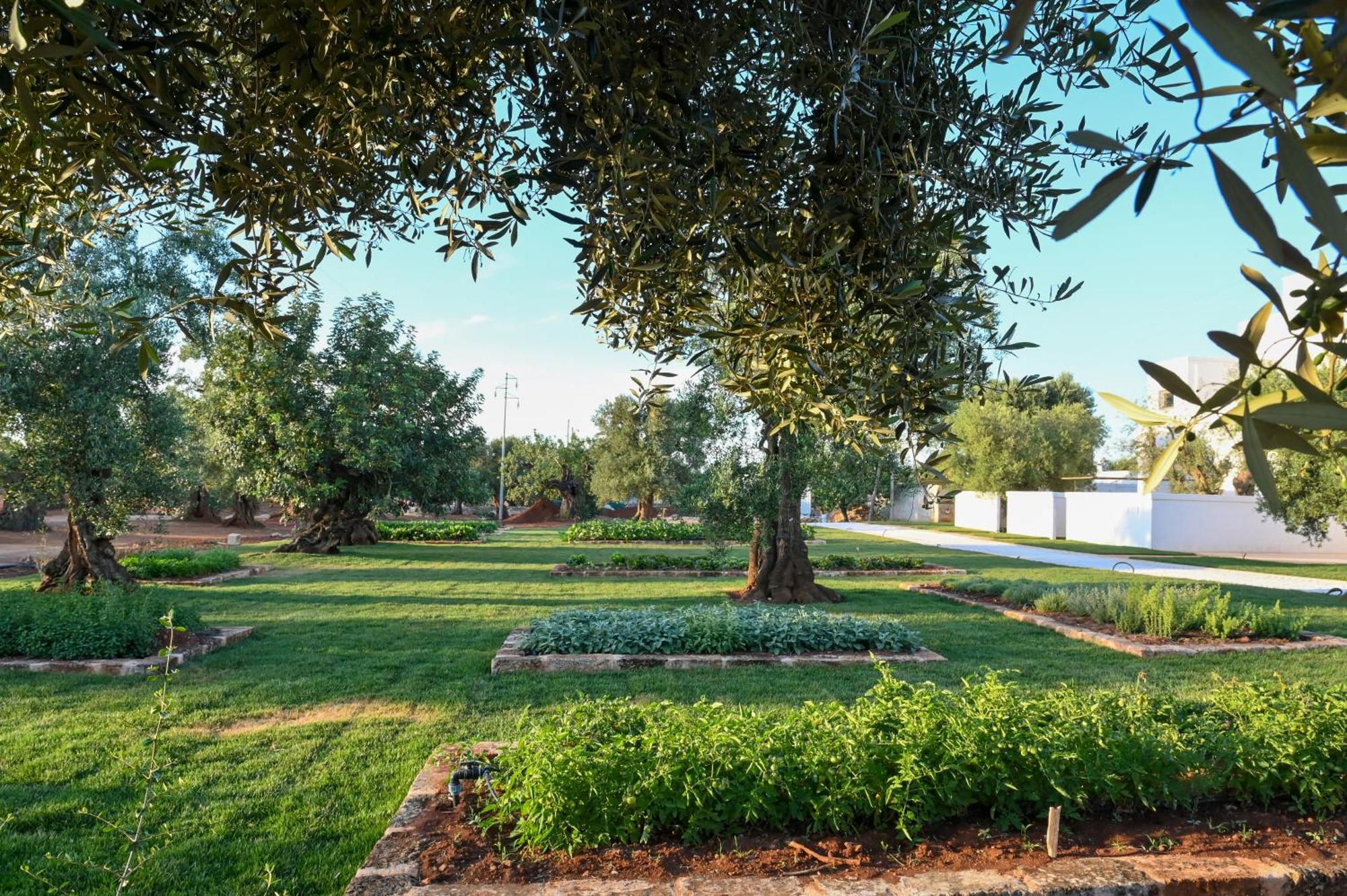 Masseria San Lorenzo Resort Fasano Exterior photo